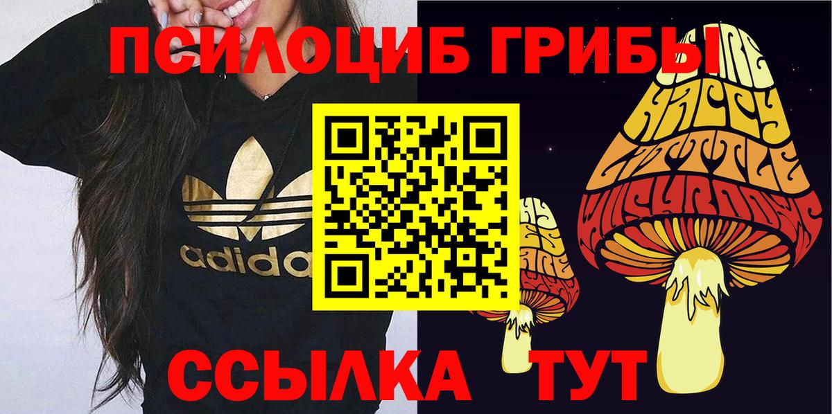 Галлюциногенные грибы мухоморы Можга