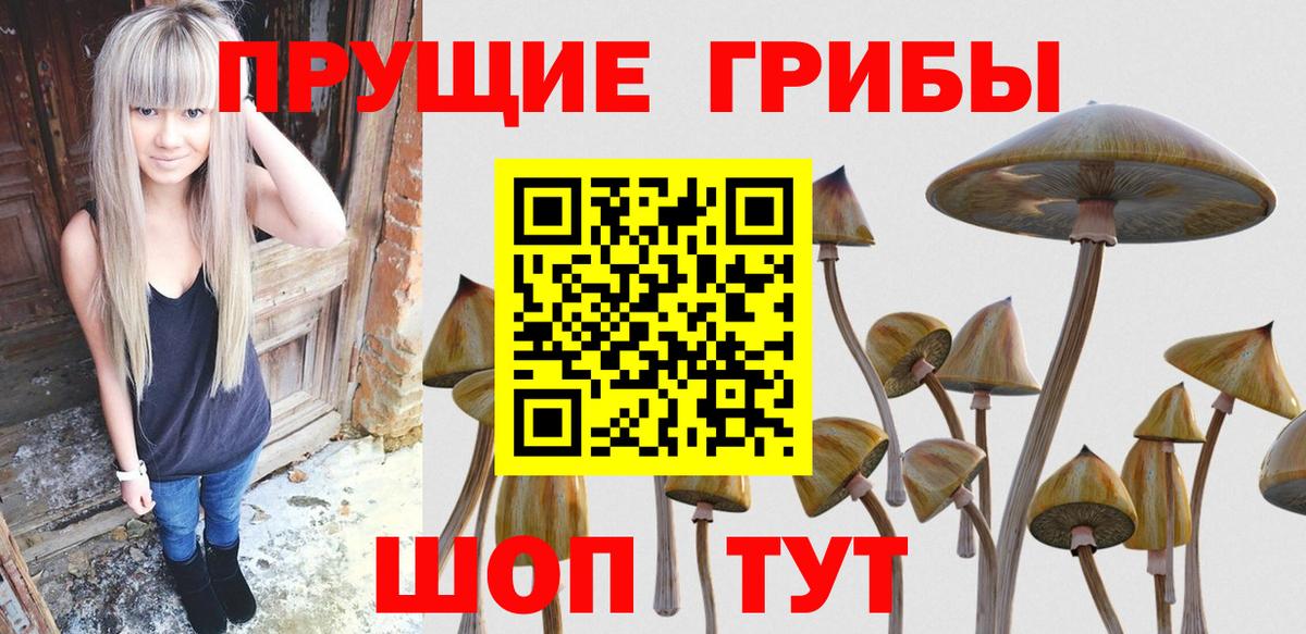 Можга  Галлюциногенные грибы мицелий  закладка  Вход с VPN 